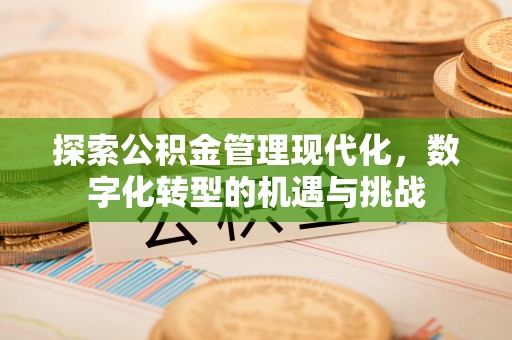 阳信探索公积金管理现代化，数字化转型的机遇与挑战