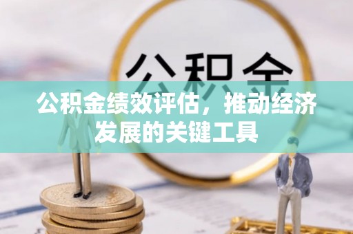 阳信公积金绩效评估，推动经济发展的关键工具