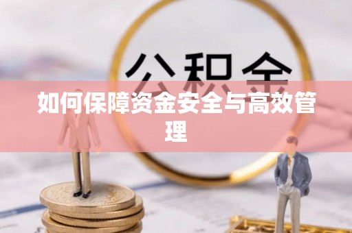 阳信如何保障资金安全与高效管理