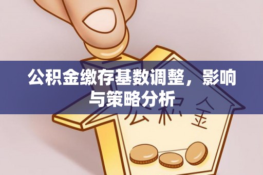 阳信公积金缴存基数调整，影响与策略分析