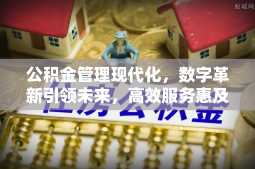 阳信公积金管理现代化，数字革新引领未来，高效服务惠及民生