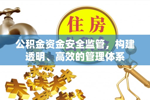 阳信公积金资金安全监管，构建透明、高效的管理体系