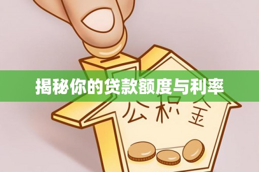 阳信揭秘你的贷款额度与利率