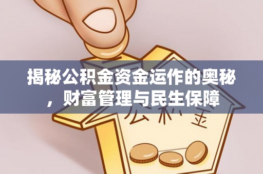 阳信揭秘公积金资金运作的奥秘，财富管理与民生保障